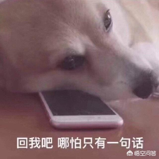 这就是舔狗的下场，奉劝所有的女人千万不要当舔狗。 感情根本就不可能靠乞求得到。2019-05-31